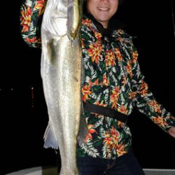 Marine T Design マリンティーデザイン 釣果