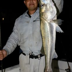 Marine T Design マリンティーデザイン 釣果