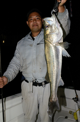 Marine T Design　マリンティ…