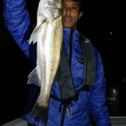 Marine T Design マリンティーデザイン 釣果