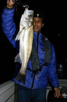 Marine T Design マリンティーデザイン 釣果