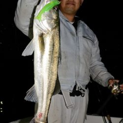 Marine T Design マリンティーデザイン 釣果