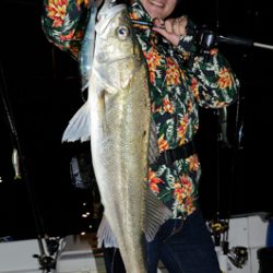 Marine T Design　マリンティーデザイン 釣果