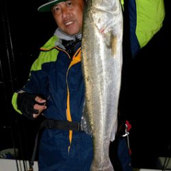 Marine T Design　マリンティーデザイン 釣果