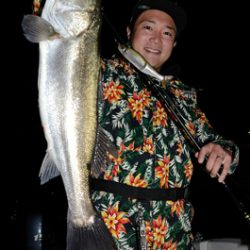 Marine T Design マリンティーデザイン 釣果