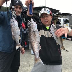 へいみつ丸 釣果