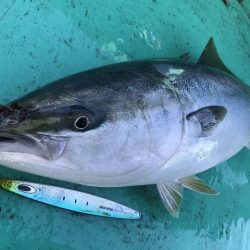 広進丸 釣果