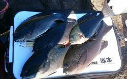 第八有漁丸 釣果