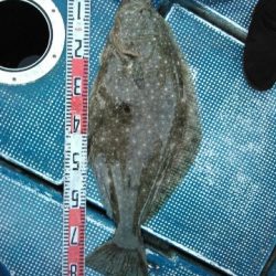 フィッシングガイド りょう 釣果