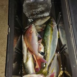 龍神丸（福井） 釣果