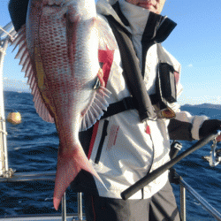 遊漁船ブルーウッズ 釣果