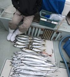 さぶろう丸 釣果