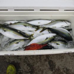 ジギング船 BLUEWATER 釣果