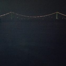 アオリイカエギング