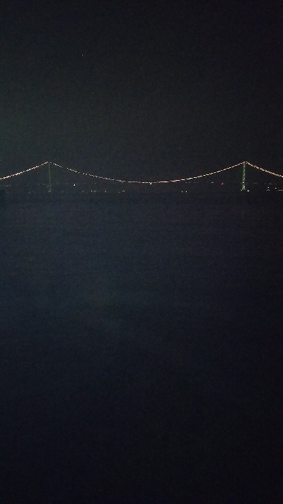 アオリイカエギング