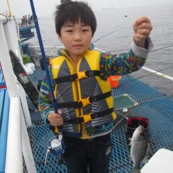 オリジナルメーカー海づり公園(市原市海づり施設) 釣果