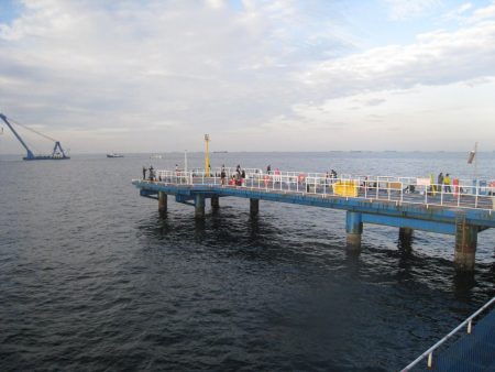 オリジナルメーカー海づり公園(市原市海づり施設) 釣果