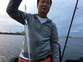 シーマジカル 釣果