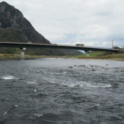 狩野川(狩野川漁業協同組合) 釣果