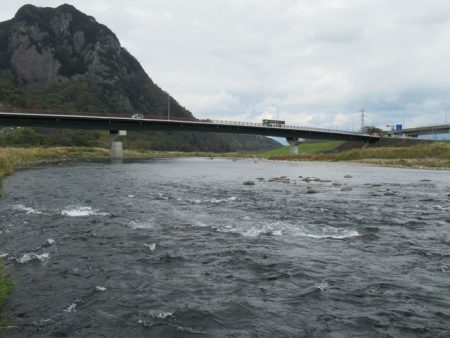 狩野川(狩野川漁業協同組合) 釣果
