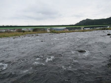 狩野川（狩野川漁業協同組合） 釣果