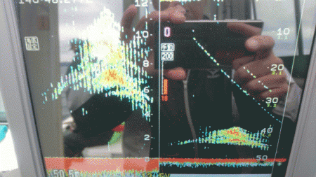 遊漁船ブルーウッズ 釣果