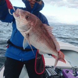 遊漁船ブルーウッズ 釣果