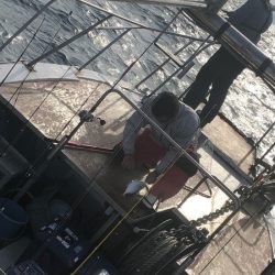 あみや渡船 JIGBOY 釣果