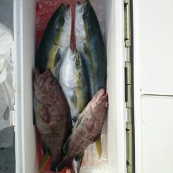 エンペラー 釣果