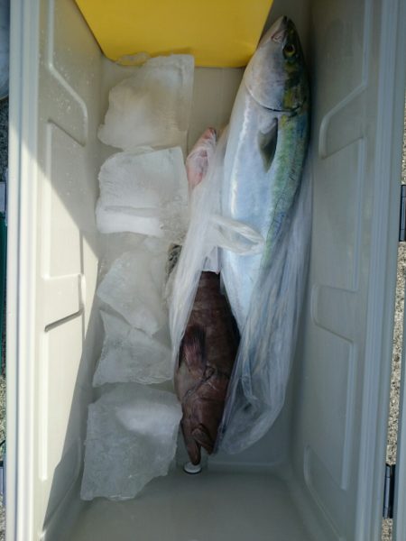 エンペラー 釣果