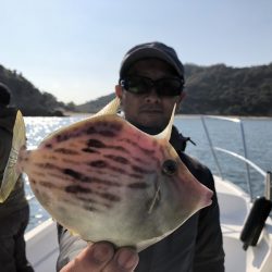 Magic(マジック) 釣果