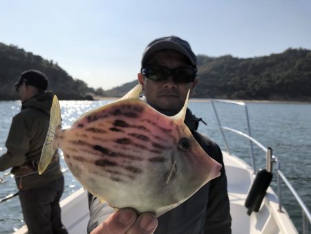 Magic（マジック） 釣果