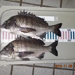姫路市立遊魚センター 釣果
