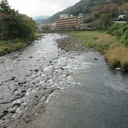 狩野川(狩野川漁業協同組合) 釣果