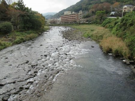 狩野川(狩野川漁業協同組合) 釣果