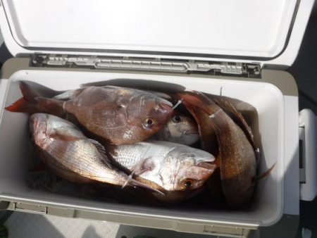 遊漁船 幸友丸 釣果