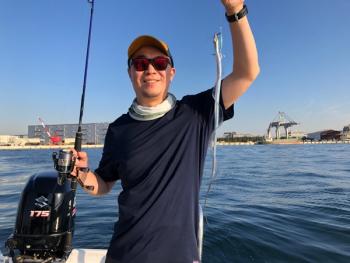 シーマジカル 釣果