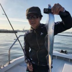 シーマジカル 釣果