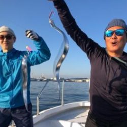 シーマジカル 釣果