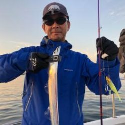 シーマジカル 釣果