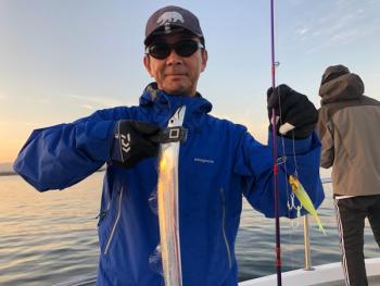 シーマジカル 釣果