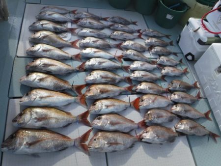 遊漁船 幸友丸 釣果