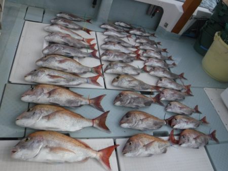 遊漁船 幸友丸 釣果