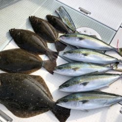 ふじしめ丸 釣果