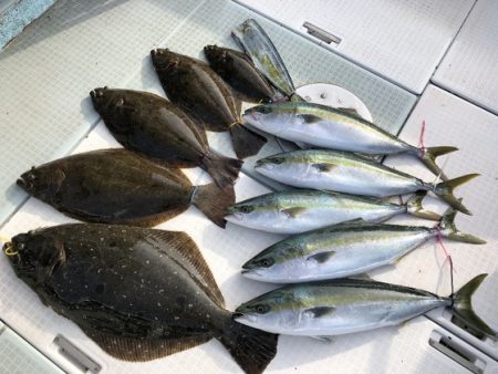 ふじしめ丸 釣果