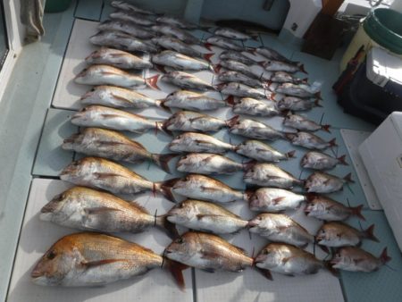 遊漁船 幸友丸 釣果