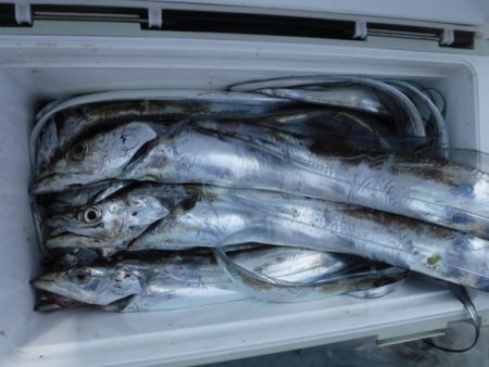 遊漁船 幸友丸 釣果