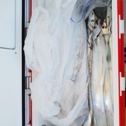 遊漁船 ニライカナイ 釣果