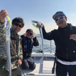シーマジカル 釣果