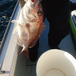遊漁船ブルーウッズ 釣果